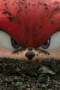 Knuckles Season 1 Episode 1