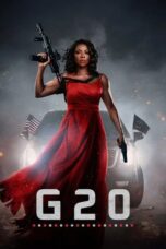 G20 (2025)
