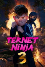 Checkered Ninja 3 (2025)